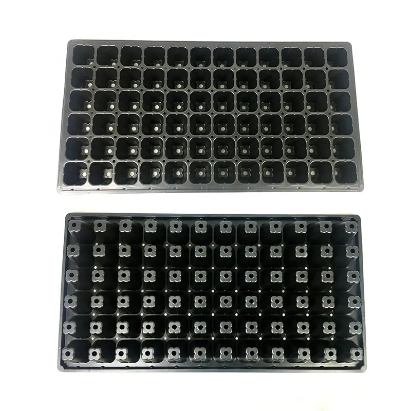 Large Deep 72 Cell PS Black Plastic Forest Nursery Seedling Trays with lid for Tree Seed Propagation