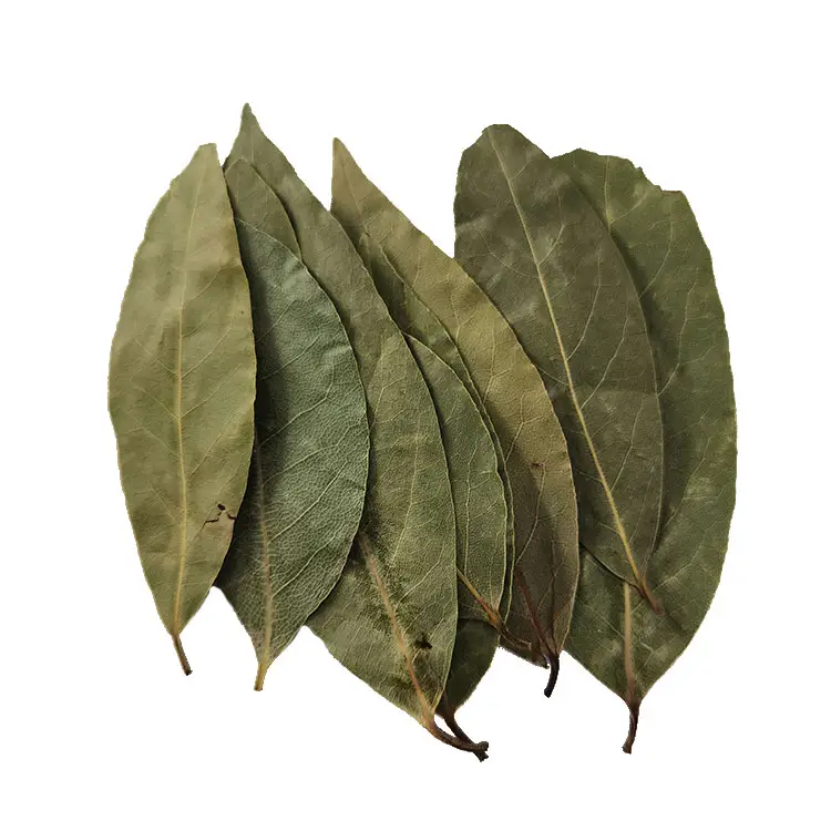 Whole Sale Dried Basil bay leaf