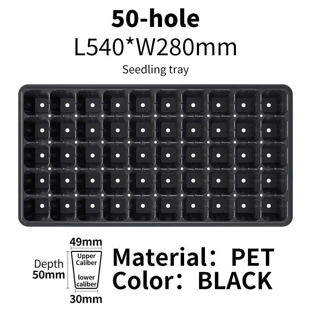 Noir 50 cellules grandes