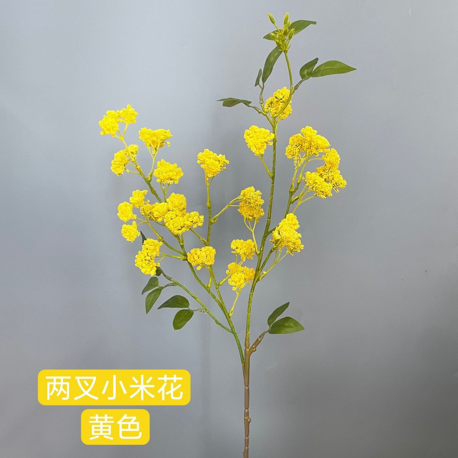 jaune