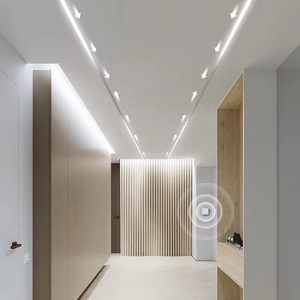 RGBIC Dreamcolor Flex COB полоска Tira De Luces адресная программируемая цифровая светодиодная лента RGB 12 24 вольт для настенного потолка - Product Image 3