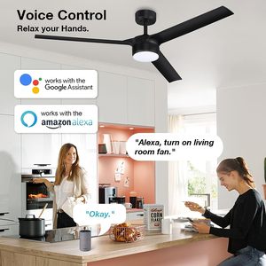 Modern Simple Contemporary Ceiling Fan for Living Room Best Price with Remote Control and <strong>Light</strong> Electric Power <strong>Source</strong> - Product Image 6
