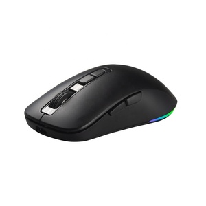 Ergonomic Recharge 600mAh Programable Mouse 2.4g Dual Wireless Wired DPI Led Rgb Optical Driver Gaming anpassen Software Mice