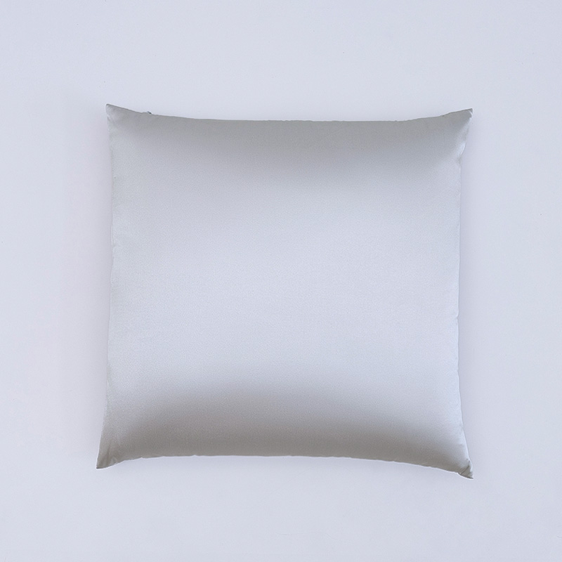 Coussin de dossier en soie argentée 19 mommes