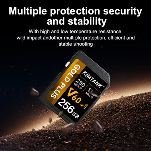 Hot Selling Sd <strong>Memory</strong> <strong>Card</strong> 2Gb 4Gb 8Gb 32Gb 64Gb 128Gb 256gb 512Gb Sd <strong>Card</strong> for <strong>Computer</strong> <strong>Camera</strong> - Product Image 3