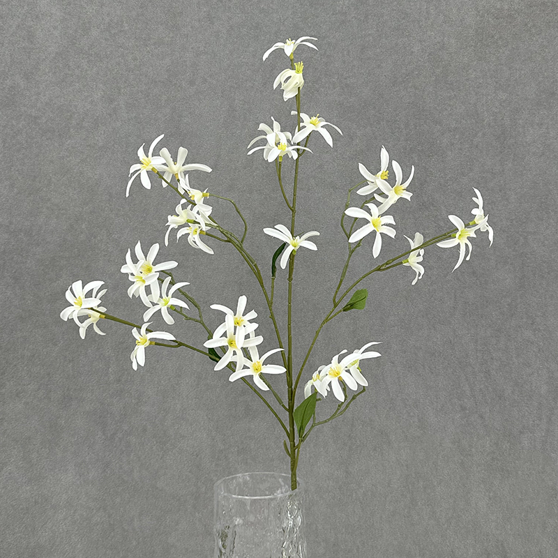 Blanc
