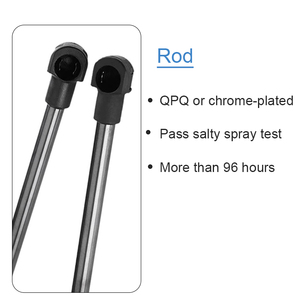 RUIBE OEM Nắp Hỗ Trợ Mềm Đóng Nén Thủy Lực Piston 45n Strut Tủ Hộp Công Cụ Xe Gas Mùa Xuân - Product Image 4