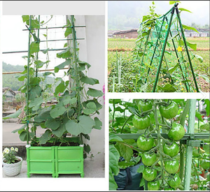 <strong>Trellis</strong> Plant Support <strong>Netting</strong> Cucumber Plant Support <strong>Net</strong> Agriculture Solutions <strong>Trellis</strong> Support <strong>Netting</strong> - Product Image 5
