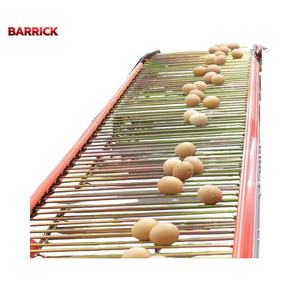 Kümes Hayvanları Çiftlikleri ve Sınıflandırma Ekipmanları için Barrick Ayarlanabilir Hızlı Yumurta Konveyör Bandı - Product Image 3