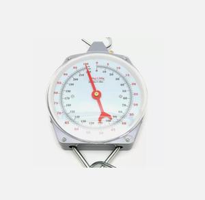 קיבולת 100KG 220LBS עם 2 וו סגסוגת סולם תלייה מכני
