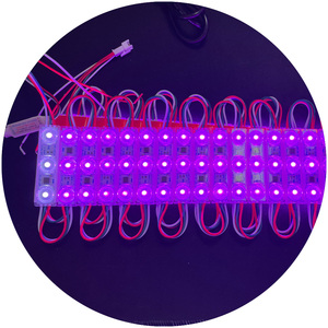 WS2811 RGBIC IP67 Digital Pixel Magic RGB 1,2 W Hoch helle Beschilderung Hintergrund beleuchtung Quelle DC12V LED-Module für Schilder