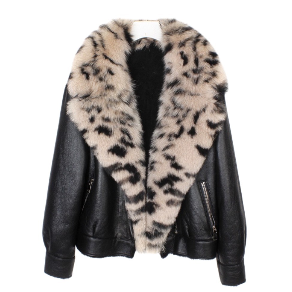 Leopardo