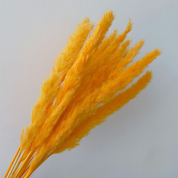 Bouquet d'herbe de pampa 3