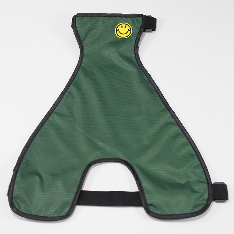 Verde (perro macho)