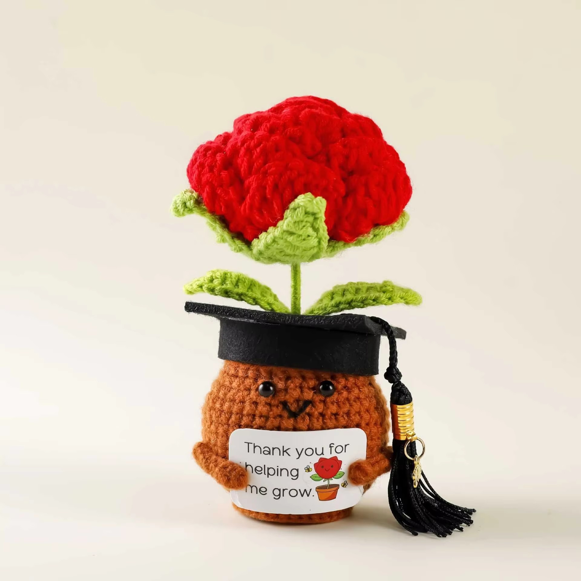 brown Hat with a single red rose