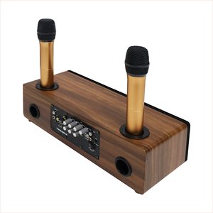 Lebeth TV-32 10W Hifi Nhà <span class=keywords><strong>Karaoke</strong></span> Loa Với Xách Tay Mini Micro Không Dây Cho Nhà <span class=keywords><strong>Karaoke</strong></span> Bên - Product Image 2