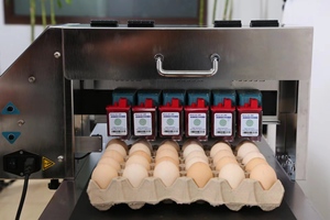 Hot Selling Egg Code Druckmaschine/Eier drucker/Eier druckmaschine mit Fabrik preis Egg Code Druckmaschine - Product Image 3