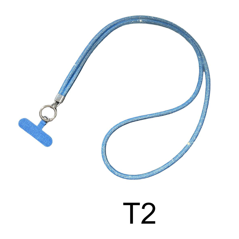 T2