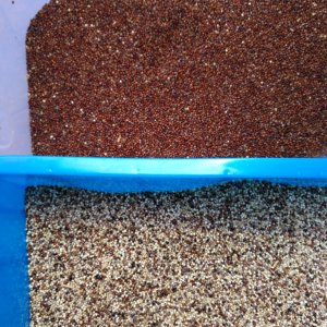 Macchina di smistamento a colori a grani di riso prodotto agricolo mais ad alta velocità macchina di selezione a colori ottica cd ad alta precisione - Product Image 5