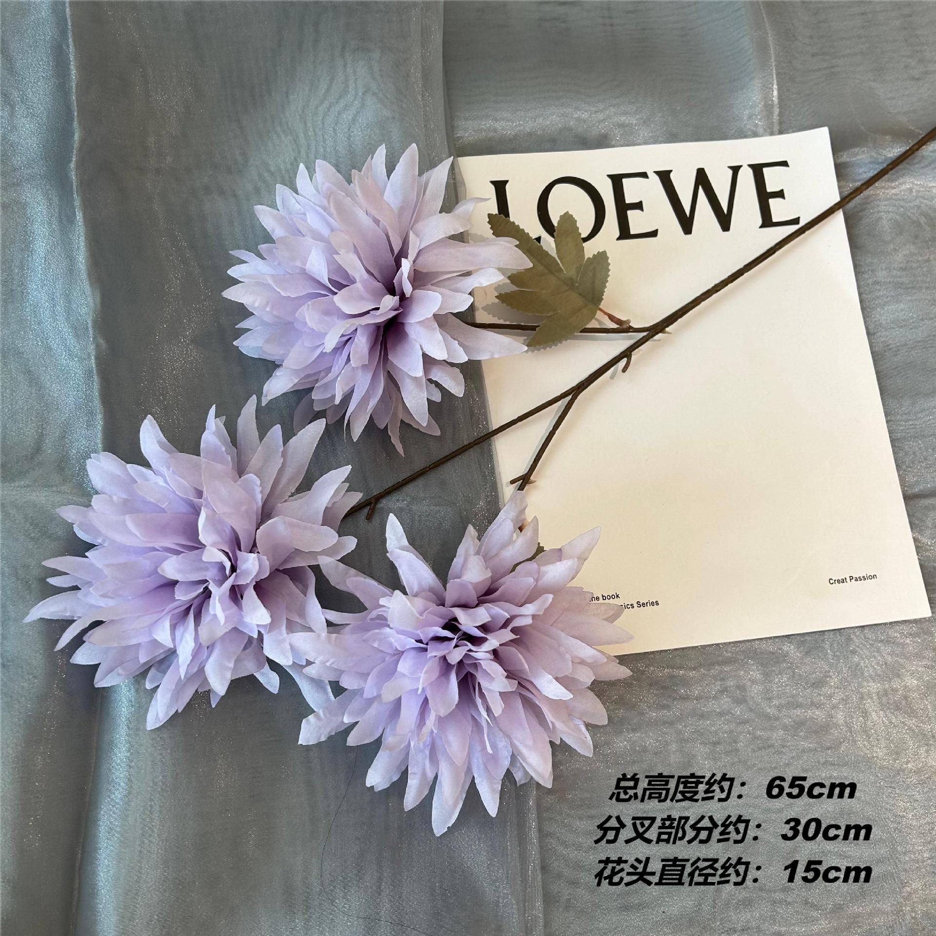 Zx flame chrysanthemum