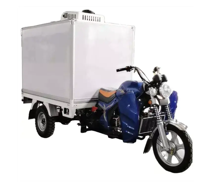 3wheel Motorcycle Display Food Refrigerators Popsicle Tricycle Refrigerated Tricycle With Accessories