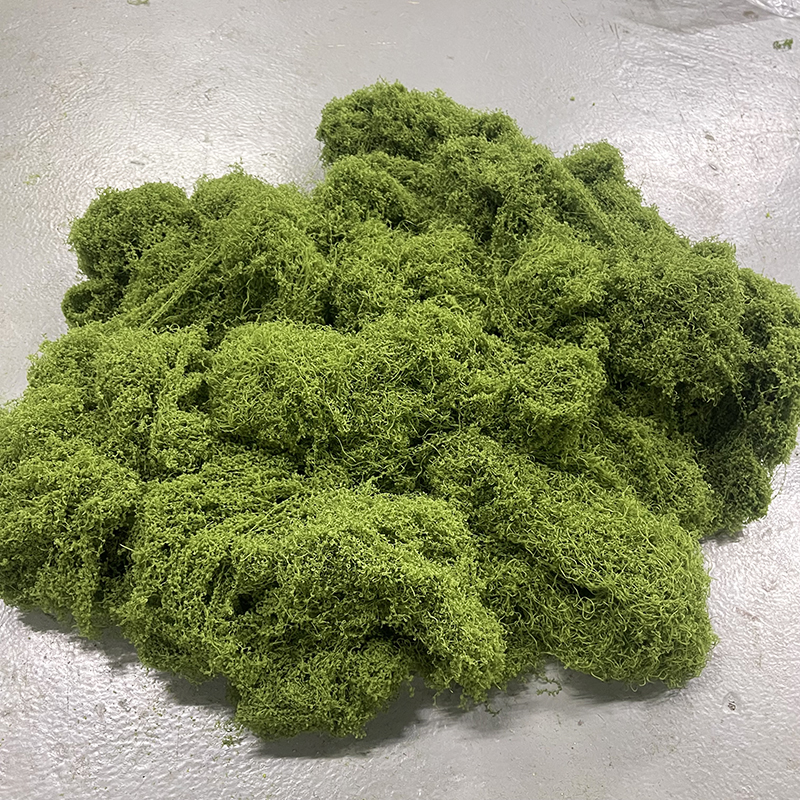 Vert foncé 100g