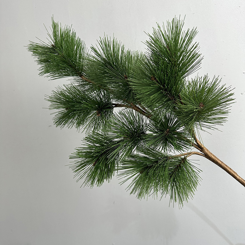 Verde Venti aghi di pino