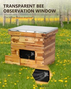 Bee Hive Starter Kit với 10 khung Bee hộp sáp ong bọc gỗ tổ ong 1 sâu + 1 vừa langstroth Hive Điều kiện Mới - Product Image 3