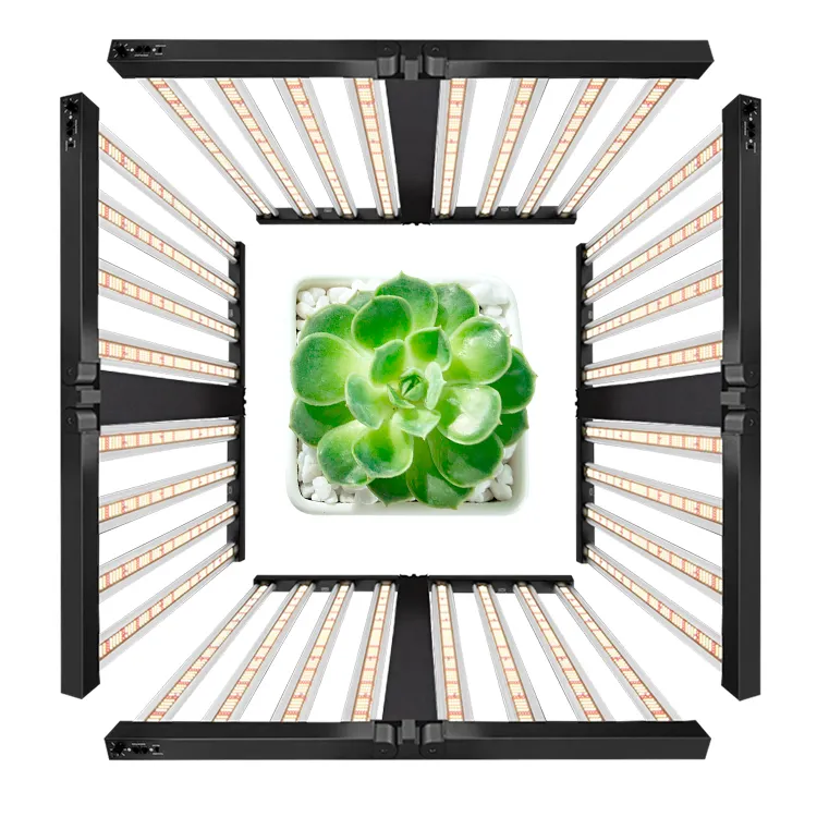 UV IR 395nm 730nm 660nm 3500K-5500K Led 640W 8 Bar coltivano luce solare promuovere la crescita delle piante