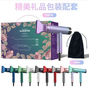 合理的价格新设计流行产品专业吹风机可充电吹风机