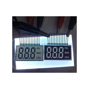 Personalizzato monocromatico 7 segmento 20 cifre TN HTN tipo positivo Lcd Display LCM con scheda Controller per distributore di carburante