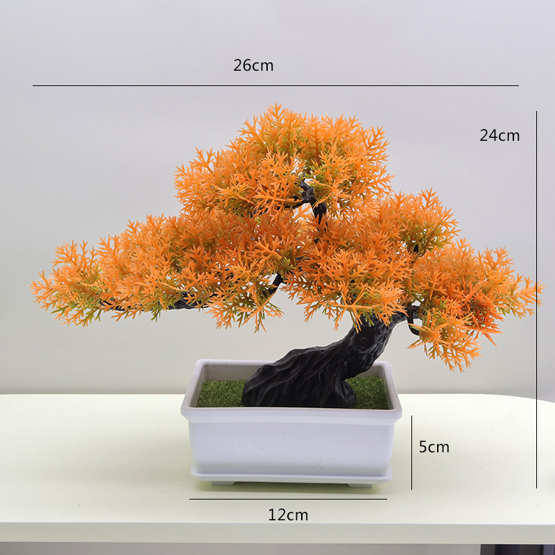 48 Naranja de pino THuja