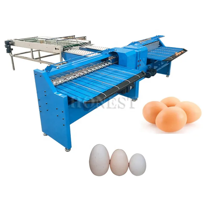 Máquina clasificadora de huevos pequeños, buen rendimiento, a la venta