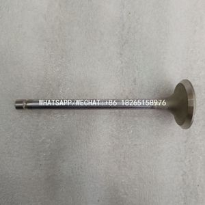 Bán buôn ca6110 ca4110 125z động cơ diesel phụ tùng van xả 1007016a013-0000 wx6113bz 1007016-d9b1 1007016-013-0000c - Product Image 3