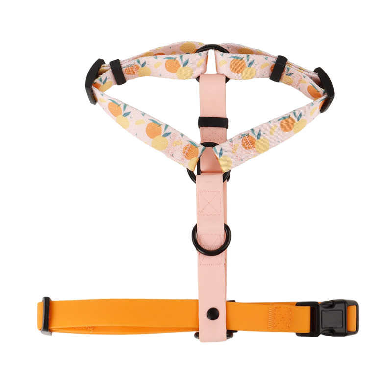 Naranja Rosa