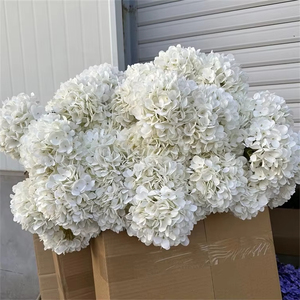 Hot Bán Nhân Tạo Hoa Đầu Duy Nhất Màu Trắng Màu Hồng Tú Cầu Lụa Tú Cầu Hoa Cho Đám Cưới Đảng Trang Trí Nội Thất - Product Image 2
