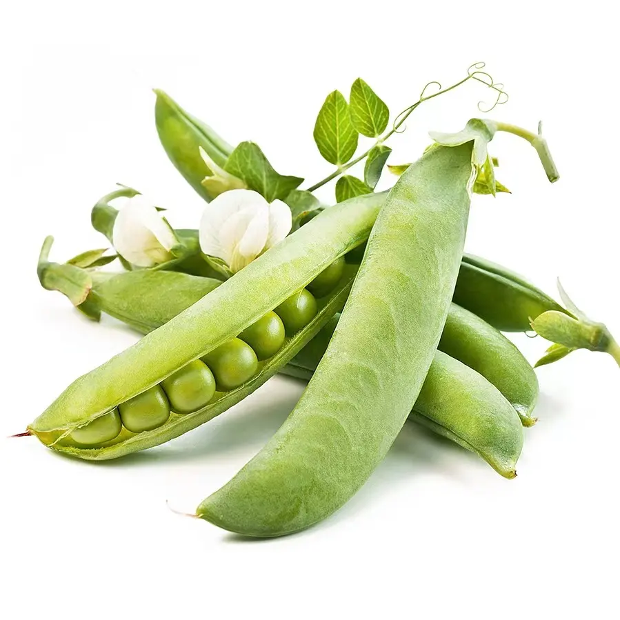 Penjualan Terbaik sayuran berkualitas tinggi kacang polong hijau Tiongkok