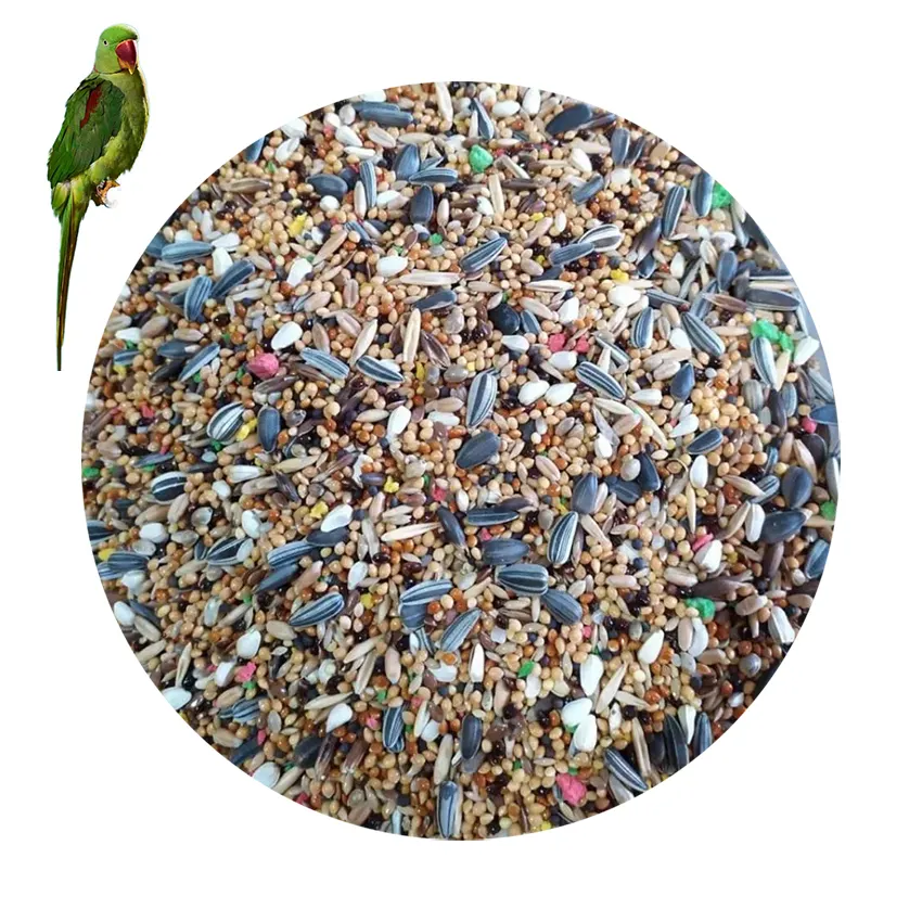 Wholesales ציפור להאכיל תבואה גדולה בעלת גוף דוחן זרעי אבטיח מעורב ציפור מזון