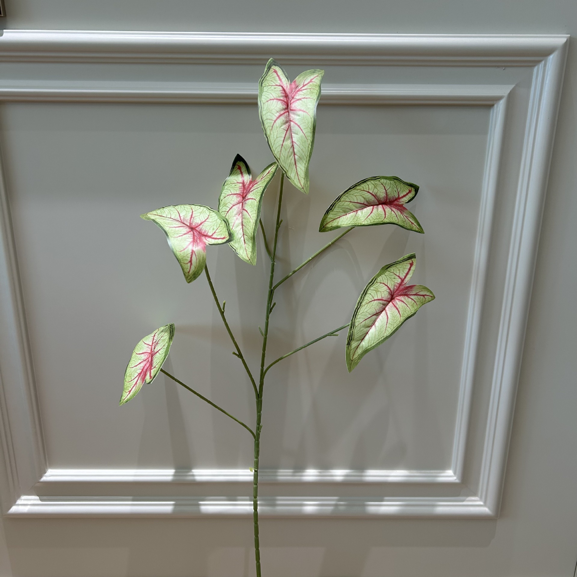 Bd sea jade leaves light green
