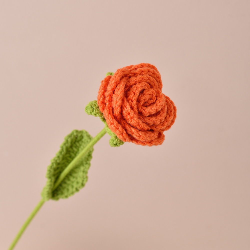 Orange Roses