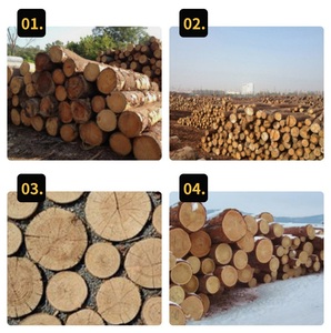Portable Circular Log <strong>Saw</strong> Mill Machine Pneumatic Cut off <strong>Saw</strong> Wood Cutting <strong>Round</strong> Log Cross Cutting <strong>Saw</strong> Machine Automatic - Product Image 5