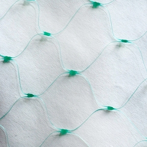 <strong>Custom</strong> Size Agricultural Green 100% PP Protection Plastic Anti Bird <strong>Mesh</strong> <strong>Netting</strong> for Vineyards - Product Image 2