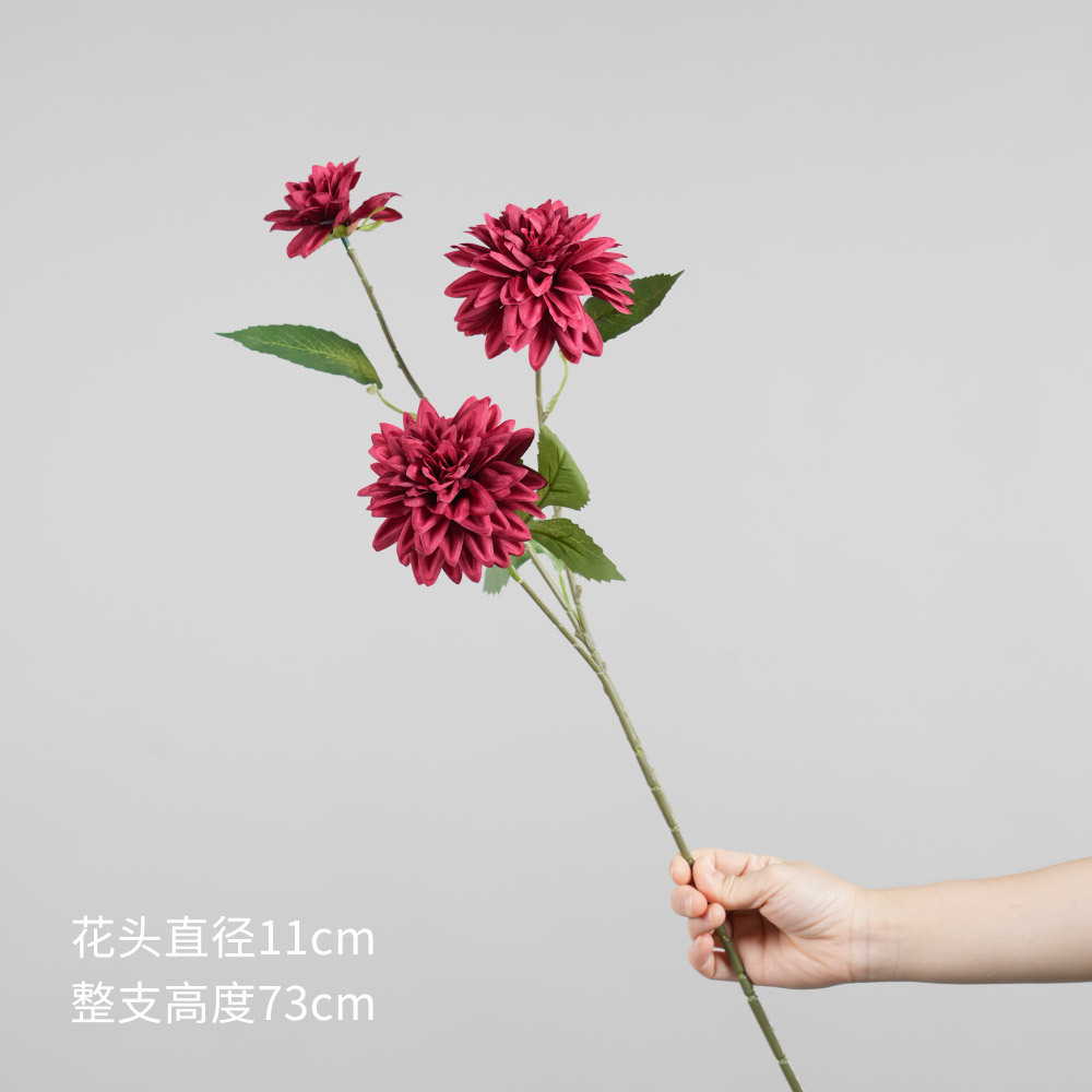 Dahlia à trois têtes - rouge bordeaux