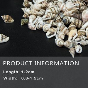 เปลือกหอยธรรมชาติสำหรับตกแต่ง DIY 0.5-1.1ซม. เปลือกหอยขายส่ง - Product Image 5