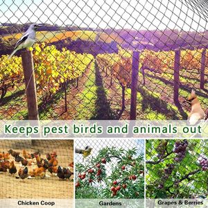 Customizable Density <strong>Bird</strong> Catching <strong>Nets</strong>, HDPE <strong>Bird</strong> Proof <strong>Net</strong>, Protecting Fruit Tree <strong>Net</strong> - Product Image 3
