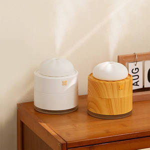 Mini diffusore portatile umidificatore con luce notturna nuovo Design USB diffusore di Aroma d'aria valore eccellente