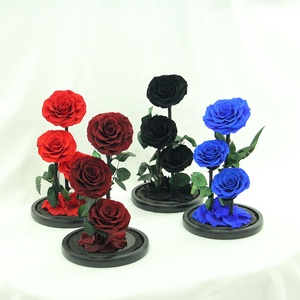 Rose Head A-Grade 7-8 Cm 3 Pcs Hoa Hồng Thủy Tinh Dome Bảo Quản Hoa DIY Chất Liệu Tanabata Valentine Của Ngày Quà Tặng - Product Image 2