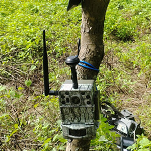 Водонепроницаемые фотоловушки, 4 г - Product Image 6