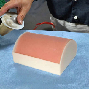 用于学校医学培训的多功能PVC肌肉注射模型 - Product Image 4
