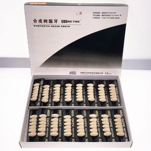 Denti Sintetici in Resina Acrilica a Due Strati Multicolore per Arcata Inferiore Anteriore all'Ingrosso - Product Image 2